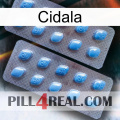 Cidala viagra4